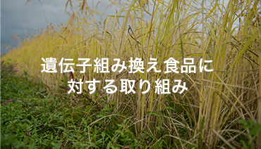 NO genetically modified food! Campaign