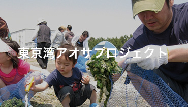 Tokyo Bay Aosa Project