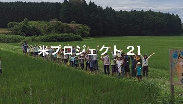 Rice Project 21